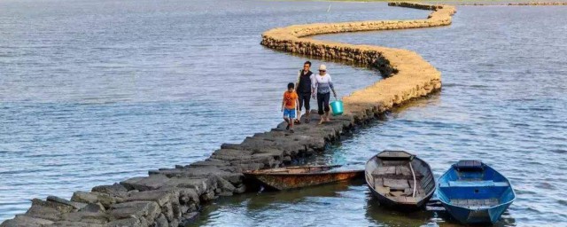 我们一起看看吧(我们一起看看吧的表情包)