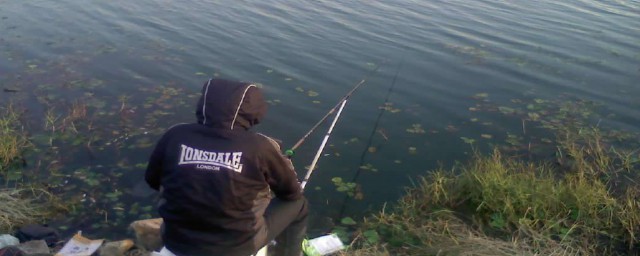 钓友这边看(钓鱼吧吧友)