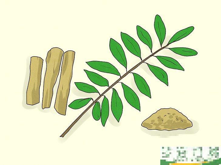 能通过服用草药增大阴茎吗?事实与谎言 能通过服用草药增大阴茎吗?事实与谎言