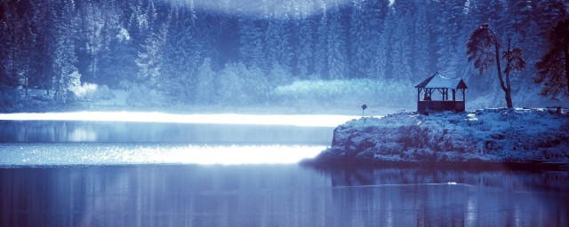 有什么情话(电视里有什么情话)