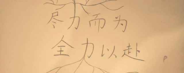 尽力而为指什么(尽力而为中的为是指)