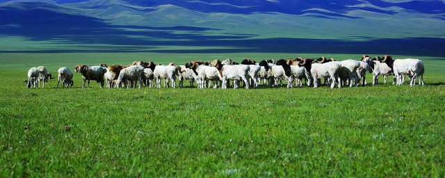 有哪些贵人(庚申日柱有哪些贵人)