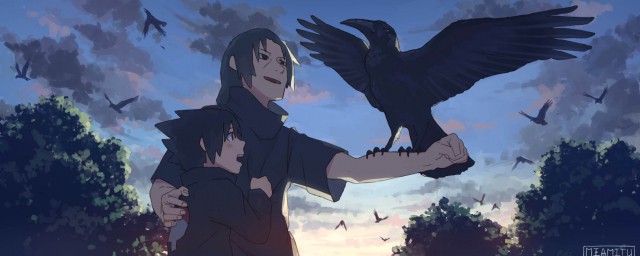 佐助vs鼬剧情(佐助vs鼬集数)