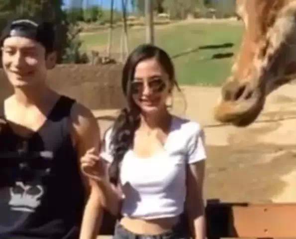 黄晓明baby分开已落实,迪丽热(黄晓明和baby最新消息)