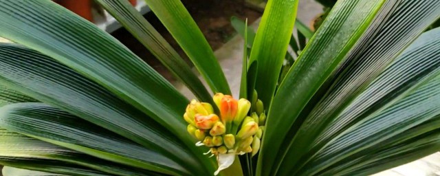 有简单的介绍吗(简单自我介绍)