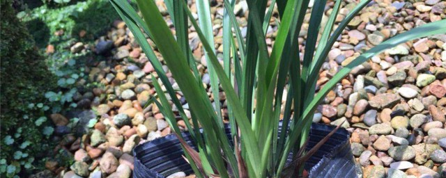 这几方面要额外注意(要注意哪些方面)