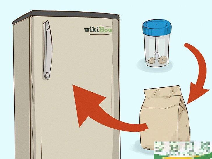 怎么采集粪便样本(粪便标本怎么采集) 怎么采集粪便样本(粪便标本怎么采集)