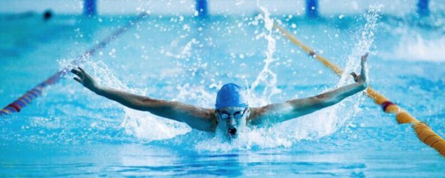 关于菲尔普斯的人物简介(菲尔普斯个人简介)