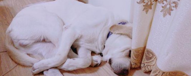 去除臭味的方法(快速去除臭味的方法)