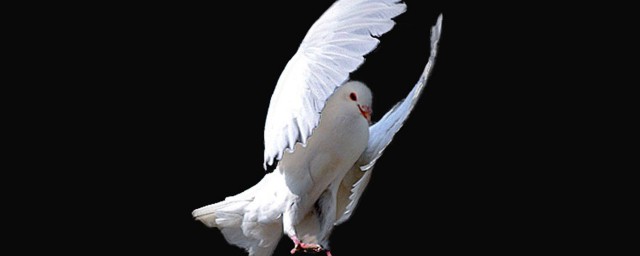 学会这些就会了(学会到会学)