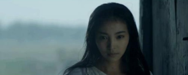 关于世家的一个谜团(世家为什么消失)