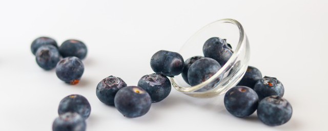 盆栽蓝莓开花结果时间讲解(蓝莓啥时开花结果)