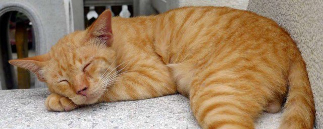 可以用试试这三招(各种方法都试了)