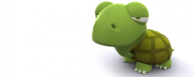 你知道这种乌龟吗(这种乌龟是什么乌龟)