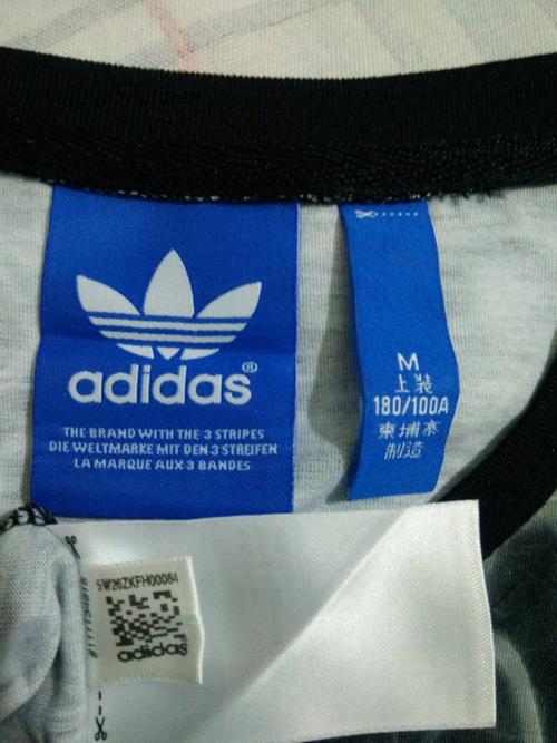 方志友上衣脱落原图,义和团斩首图