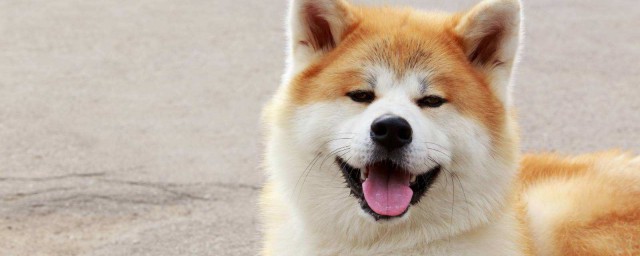 它们的四大区别(四个其它的区别)