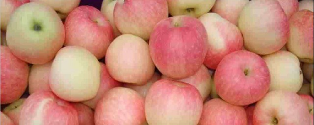 苹果的历史及养殖环境简述(苹果的生长环境及营养价值)