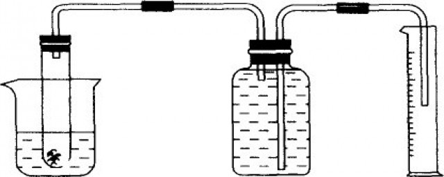 锌与硝酸反应的化学方程式(锌和硝酸反应的化学方程式)
