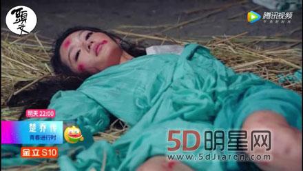 楚乔传结局是什么,楚乔传结局是b(楚乔传的结局是怎么样的)