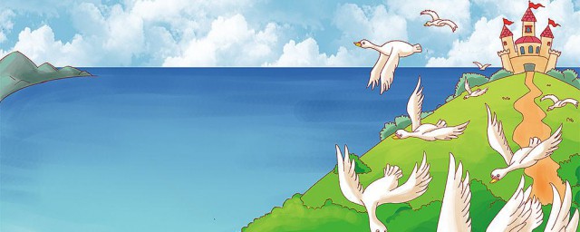 野天鹅主要吃的食物(天鹅吃啥食物)