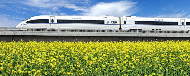 如何在网上购买火车票(如何在网上购买火车票学生票)