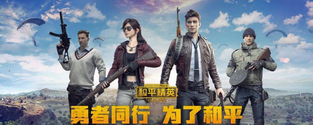 和平精英的简介信息(和平精英公司简介)