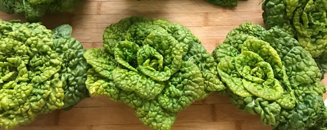 黄心菜适合小动物吃吗(黄心菜有什么营养)