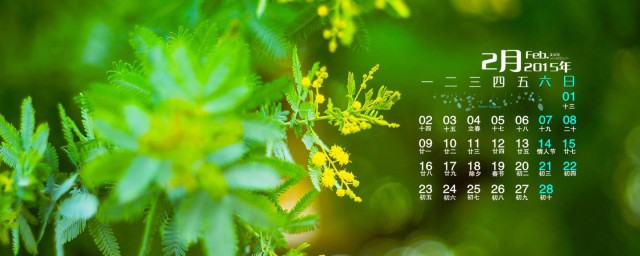 每年都有农历2月28日(农历2月28日是什么日子)