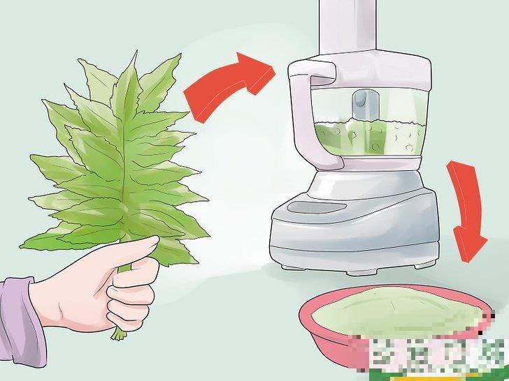 怎么自己在家治疗水痘(水痘在家治疗最佳方法)