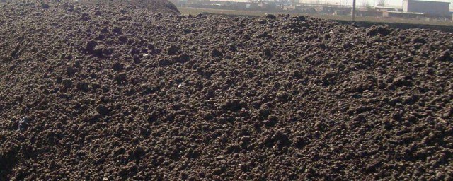 这些窍门你都学会了吗(掌握的小窍门)