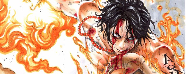 关于艾斯的简介信息(艾斯是什么)