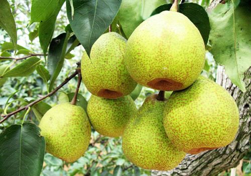 张大大背景,英皇娱乐董事长(香港英皇娱乐集团老板是谁)