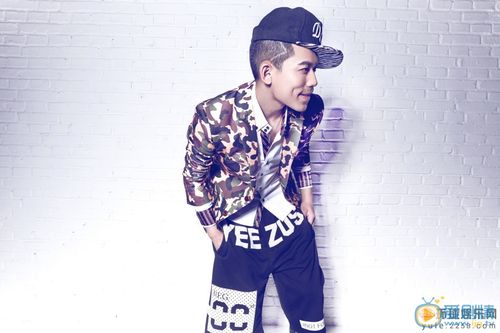 苏醒打李炜，苏醒打架现场图片(苏醒打张炜视频)