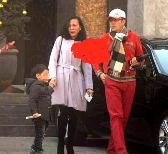 蔡国庆老婆秦娟近照,秦绢(蔡国庆老婆秦娟)