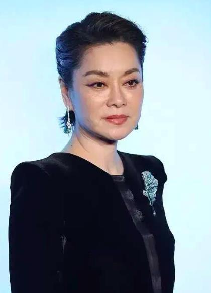 毛阿敏简介个人简历，毛阿敏哪里人(毛阿敏的个人信息)