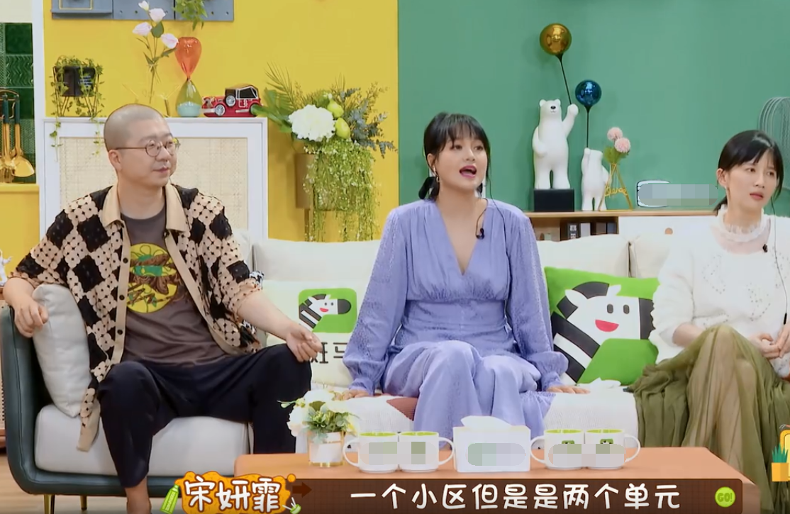 宋妍霏家世，张碧晨的评价(宋妍霏微博承认家境好)