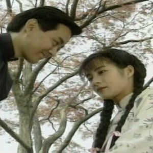 张晨光前妻是岳翎，岳翎结婚了吗(岳翎现在的老公是谁)