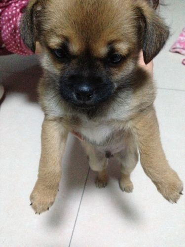 于越图片，巡回检察组演员表全部演(巡回检察组熊绍峰谁演的)