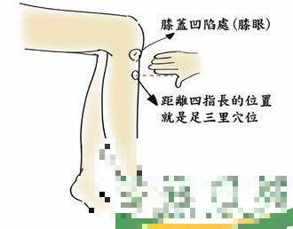 怎么按摩穴位治疗恶心(恶心如何按摩) 怎么按摩穴位治疗恶心(恶心如何按摩)