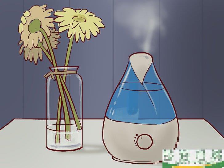 怎么治疗眼部周围的湿疹(眼周皮肤湿疹怎么办) 怎么治疗眼部周围的湿疹(眼周皮肤湿疹怎么办)