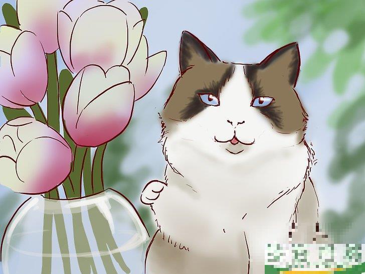 怎么治疗眼部周围的湿疹(眼周皮肤湿疹怎么办) 怎么治疗眼部周围的湿疹(眼周皮肤湿疹怎么办)