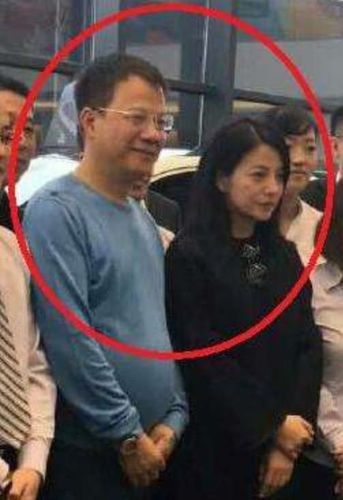 赵薇的哥哥 元宇宙bo