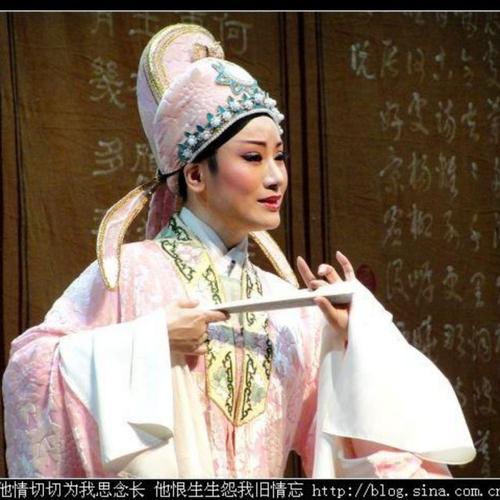 杨怡个人资料，杨怡老公个人资料(杨怡老公叫什么名字)