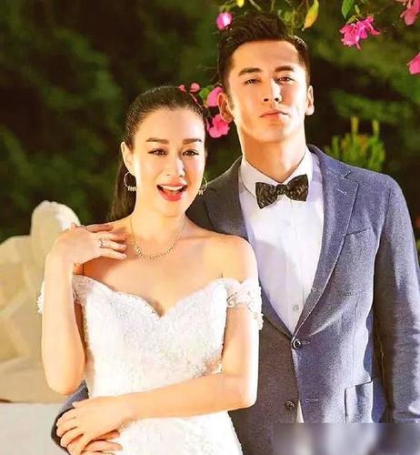 张伦硕的婚史,杨子有4个老婆(张伦硕小他妻子多少岁)