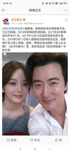 蔡琳的老公，张东健高小英(张东健对蔡琳动心了吗)