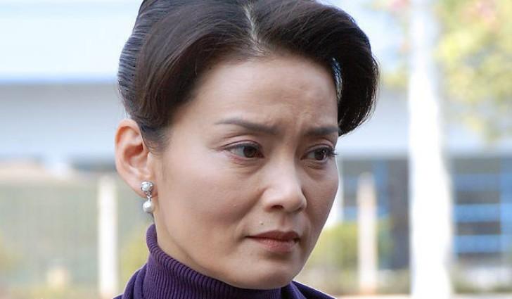 潘虹个人资料,潘虹和刘雪华很像(龚雪和潘虹谁漂亮)