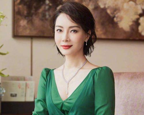 演员陈数的第一任老公，柳云龙前妻(陈数原老公柳云龙)