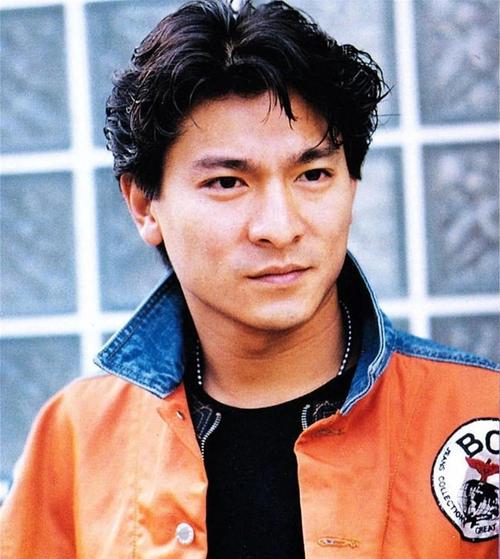 刘德华的简历，刘德华个人资料简介(刘德华简历个人资料简介 图片)