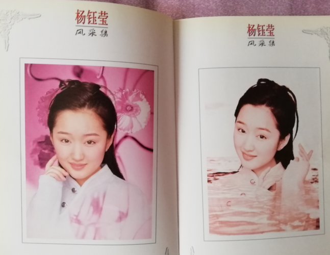 杨钰莹红楼事件,厦门远华红楼