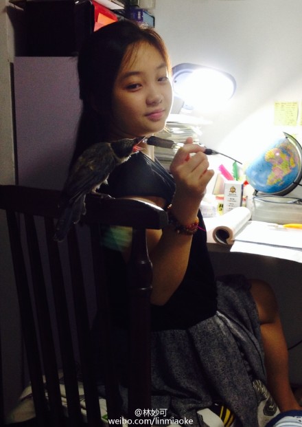 16岁林妙可近照显成熟(林妙可打扮成熟)